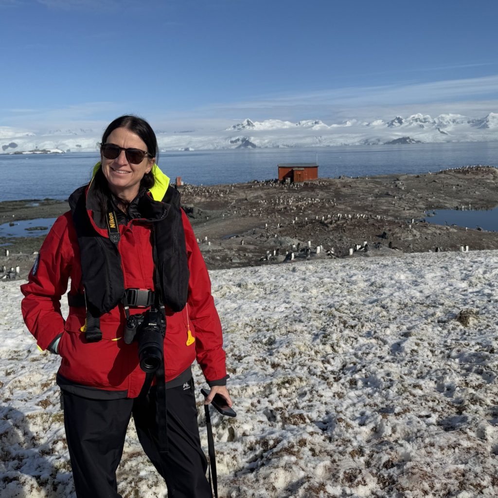 Antartica Image