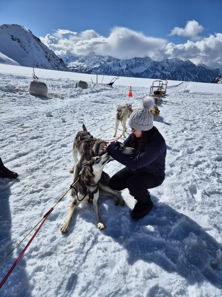 Dog Sledding
