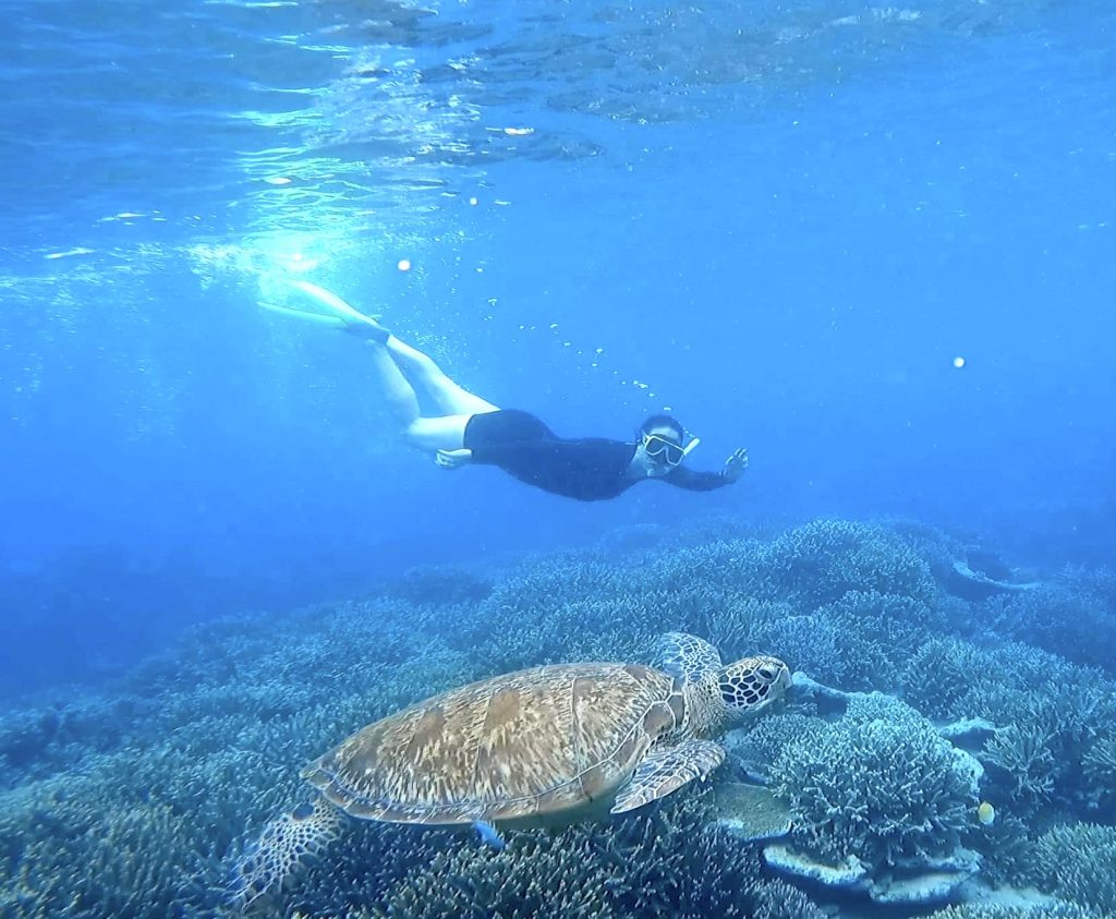 Turtle Snorkel