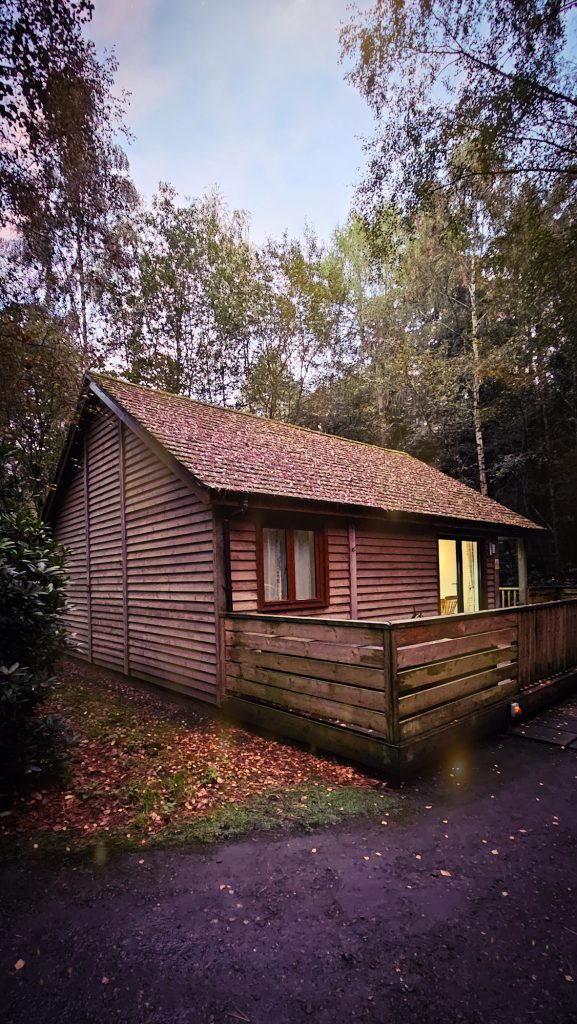 Griffon Forest Lodge