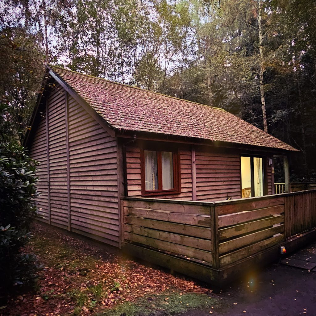 Griffon Forest Lodge