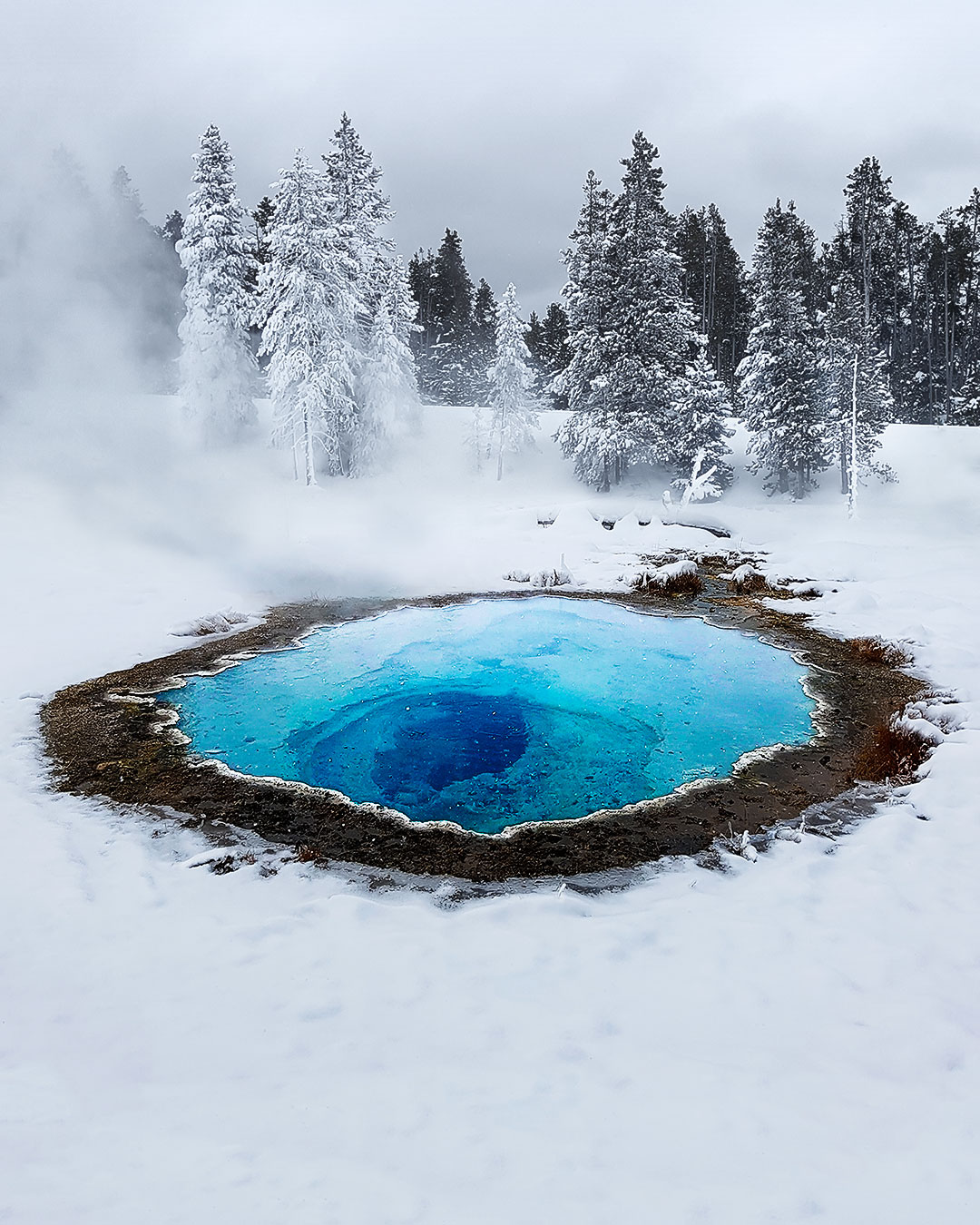 Yellowstone National Park in Winter - Chirn Park