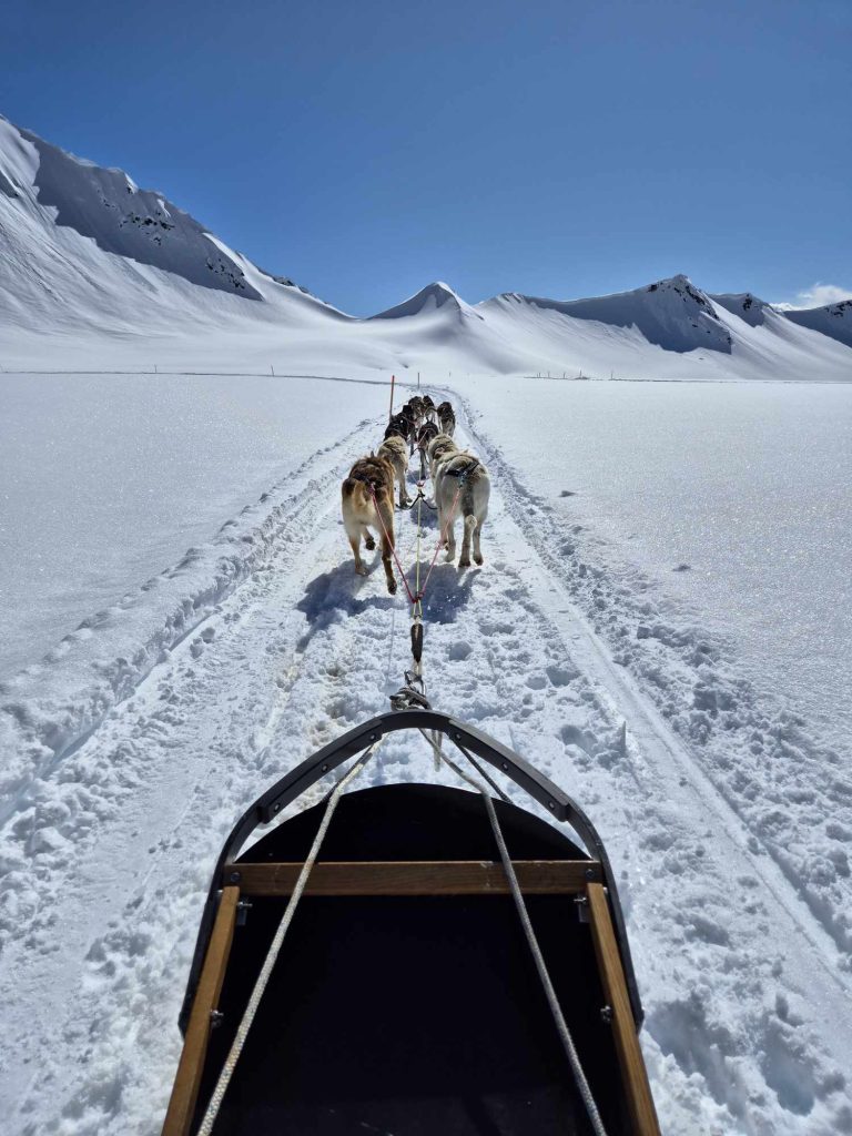 Dogsledding