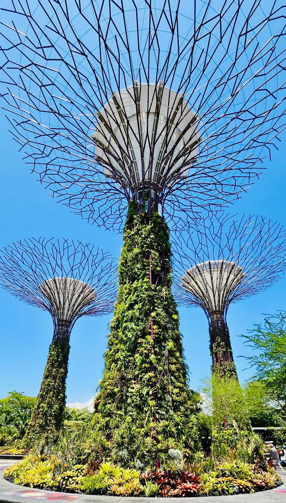 Exploring Singapore in 48 Hours – the must see’s