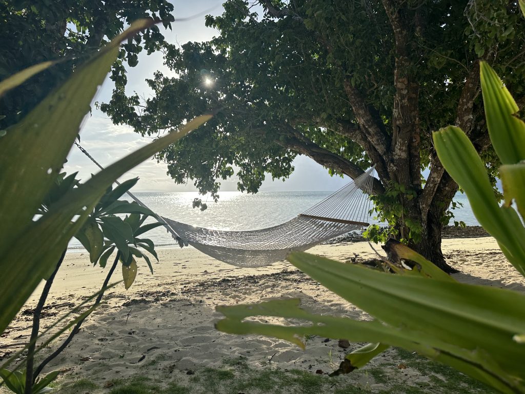 Experience Paradise: A Stay at Jean-Michel Cousteau Resort 