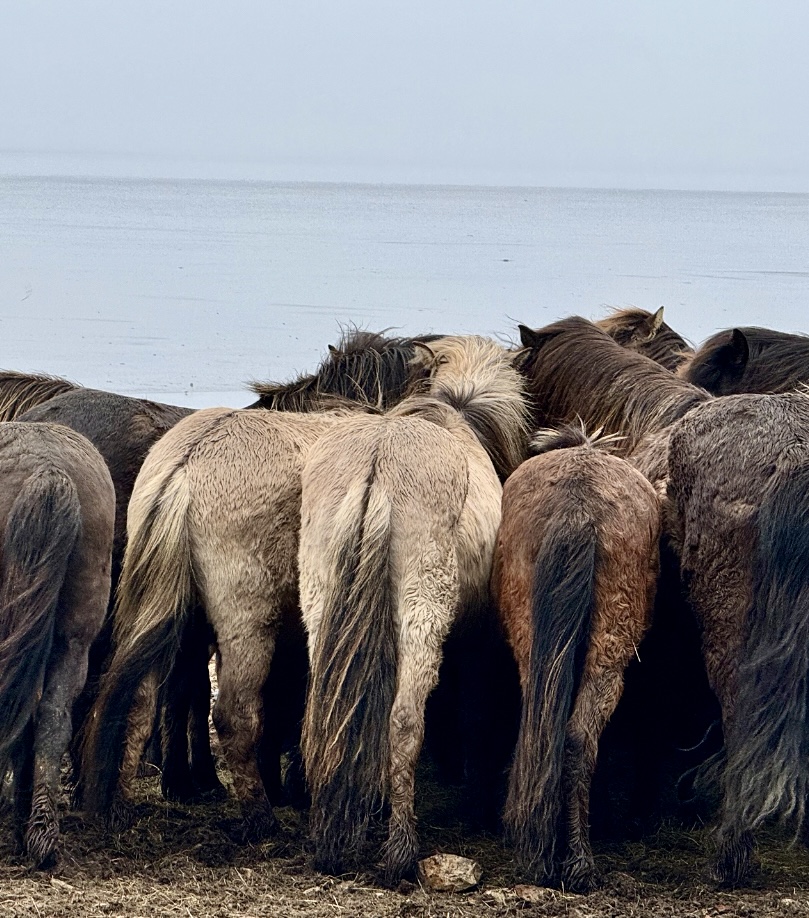 Exploring Iceland: Self-Drive and Soak