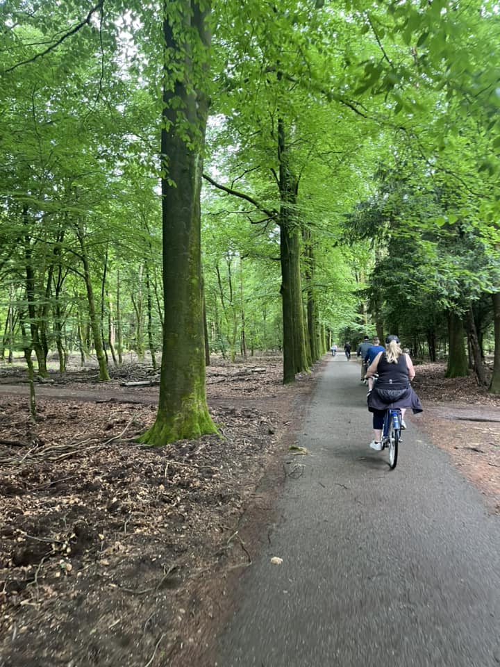 National Park De Hogge