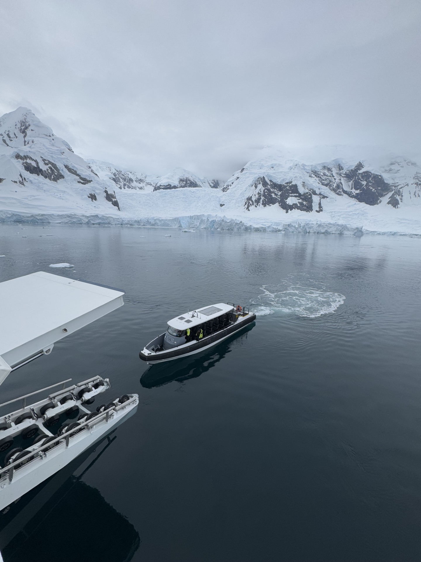 Antarctica with Viking Expeditions