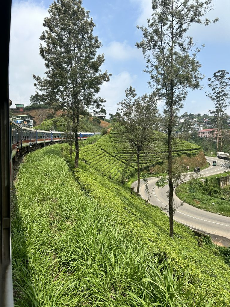 Train