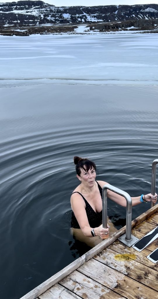 Vok Ice Lake Dips