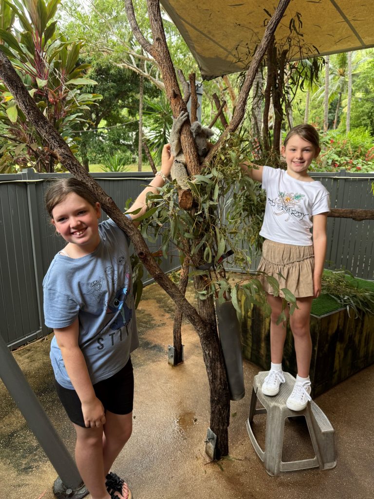 Meeting The Koala1