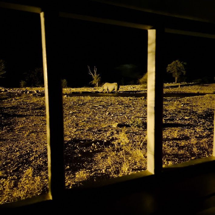 Hide in Etosha National Park