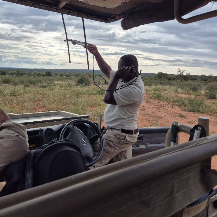 Leopard Tracking