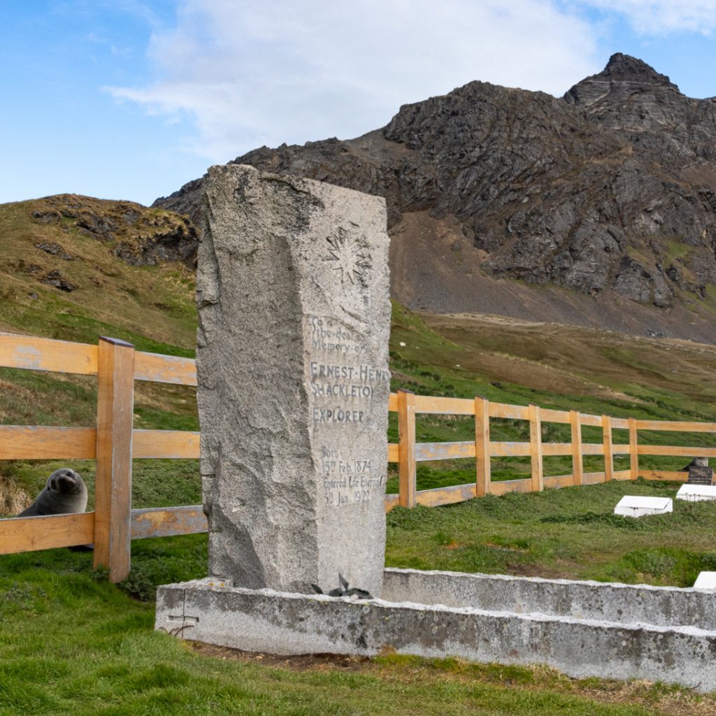 20241231 Southgeorgia Grytviken