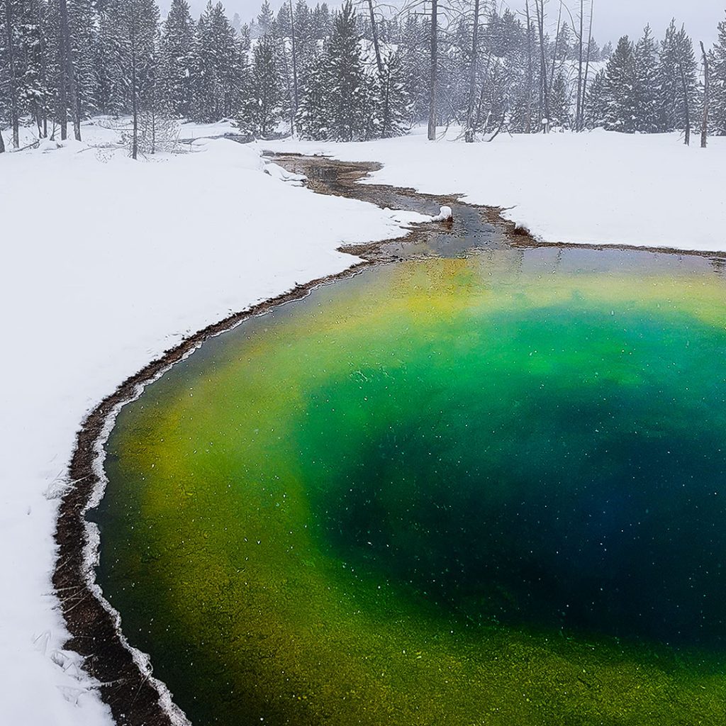 Yellowstone Upper Geyser Basin