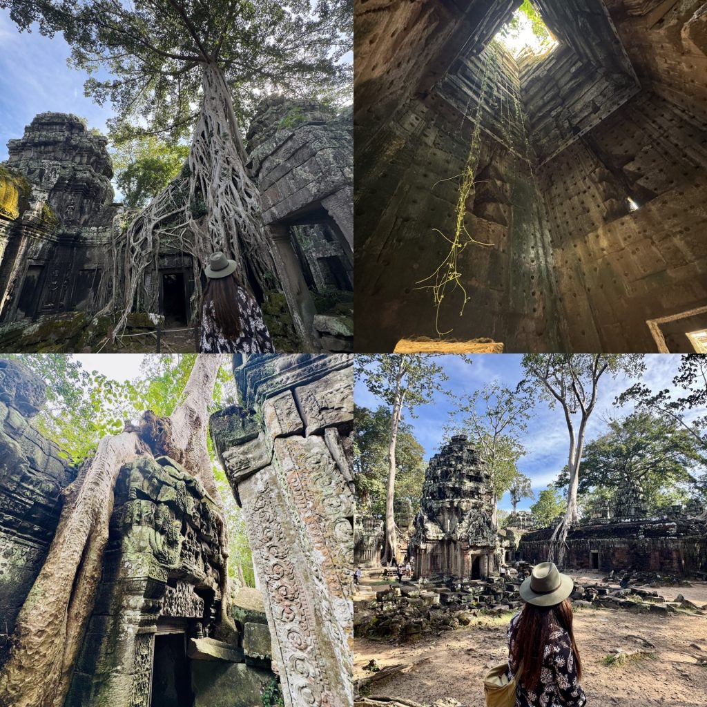 Tomb Raider Grid