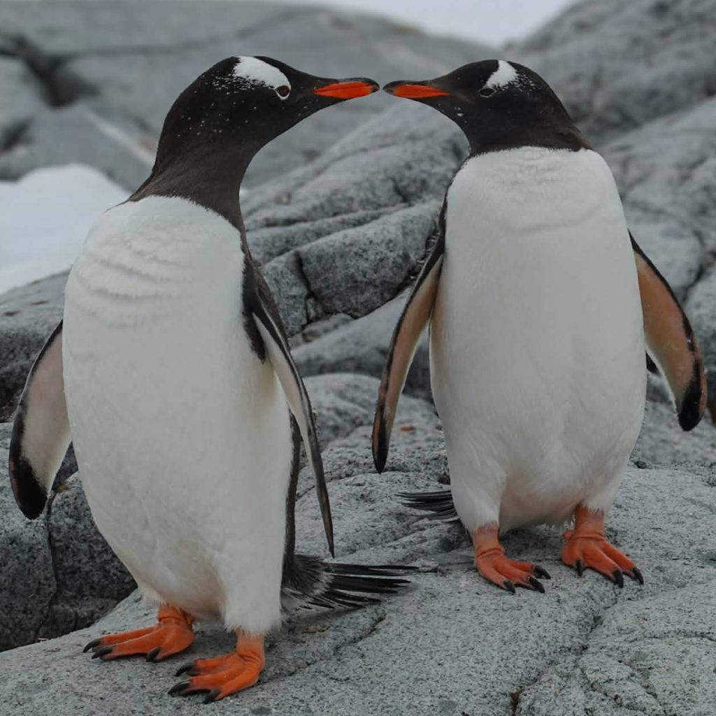 7a39a92f 835e 4536 90c8 733fbe23448f