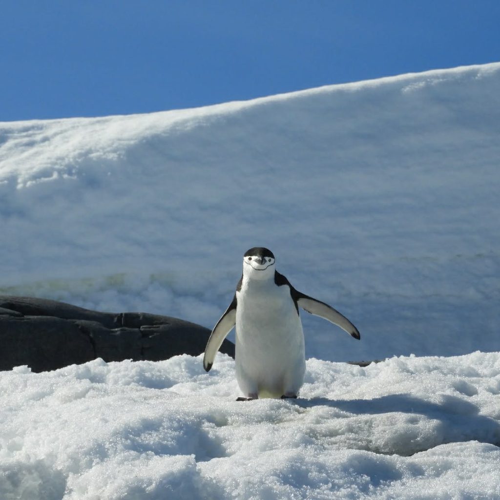 83b1e775 1e8e 45db 9e3d 93fb2eae52dd