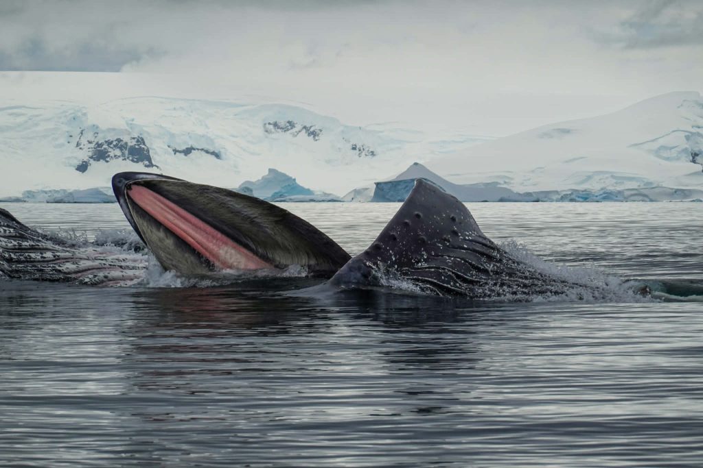 8dd5f5e8 Af72 4d37 A4a9 B07995d375c2