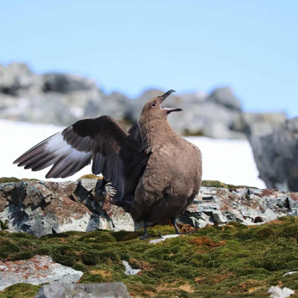 A63defdd F8e8 466d Be40 C50e16ab7b17