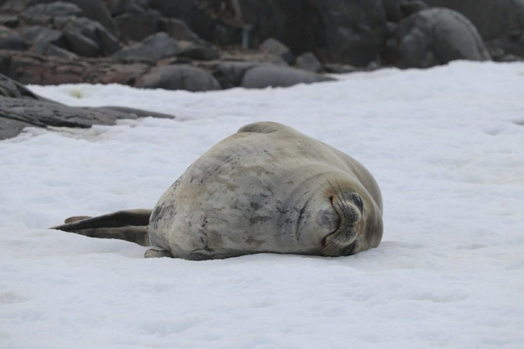 Faf4026b 1b12 4c10 B676 8932b4275a3b