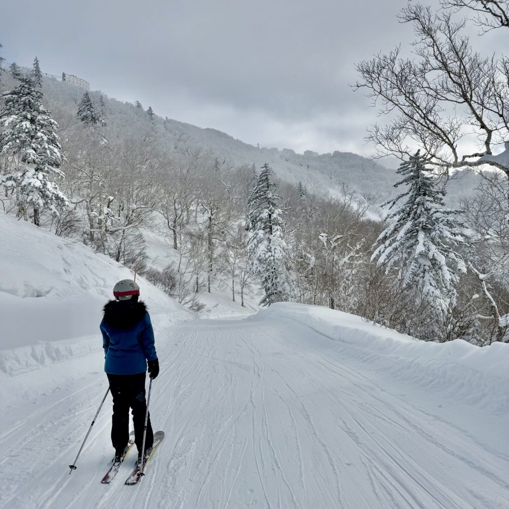 Ski