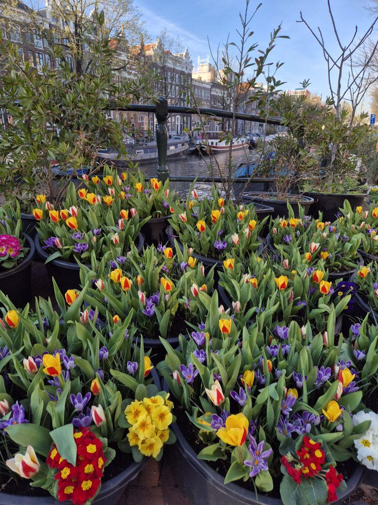 Dutch Sights & Belgian Delights Cruise Aboard the Scenic Jewel