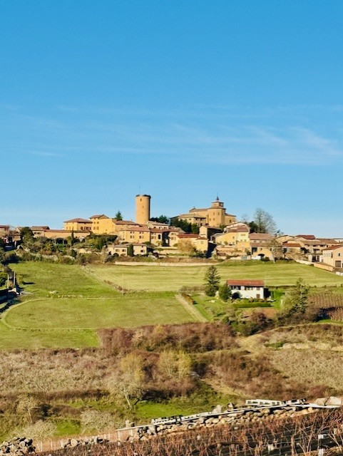 Beaujolais Vineyard Lyon