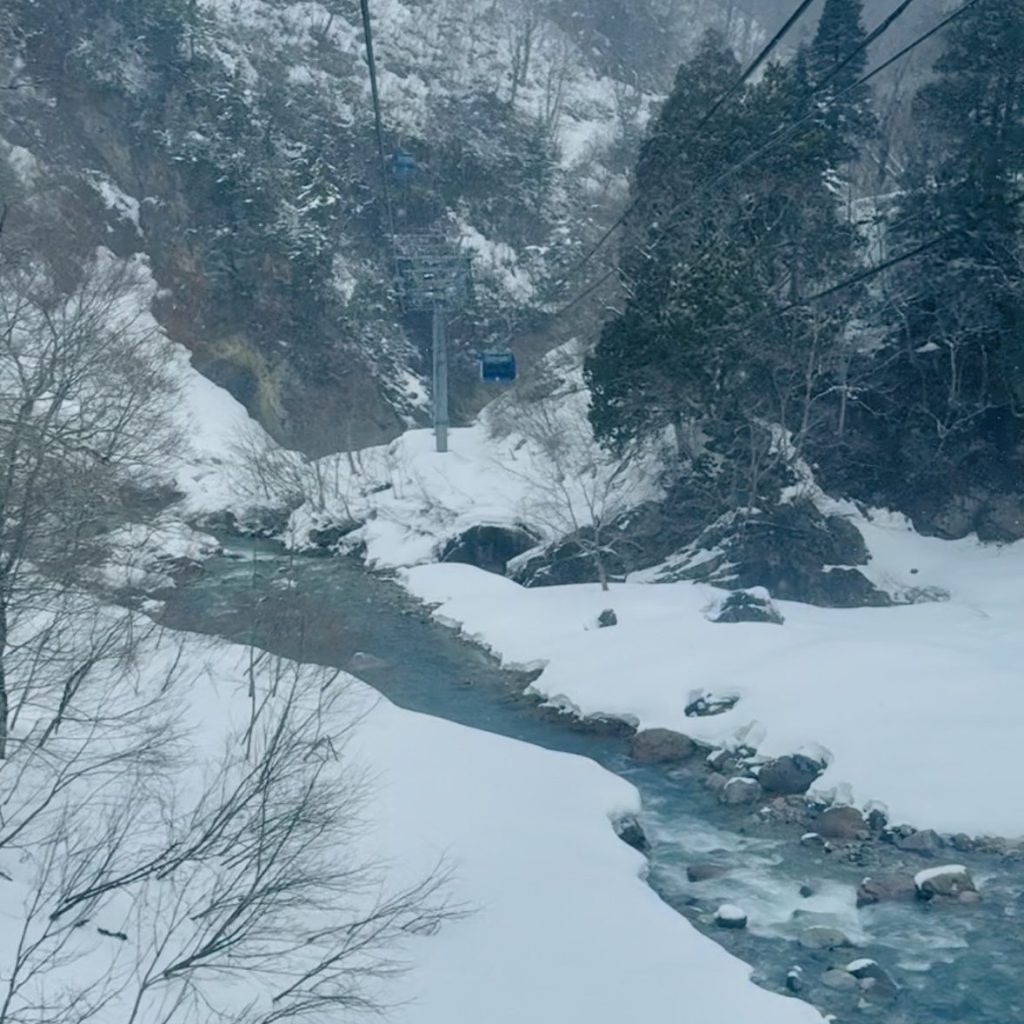 Stunning views from The Dragondola