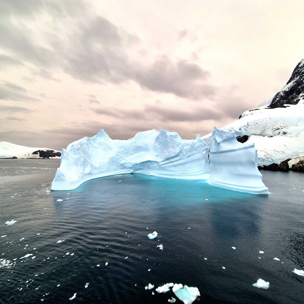 Icebergs of the Lamaire Channel