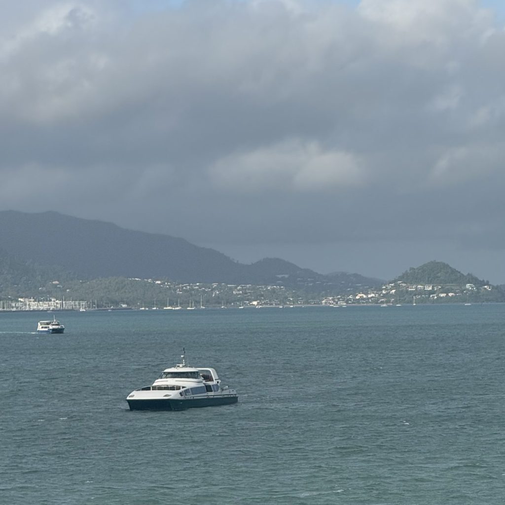 Whitsundays Tender Spot