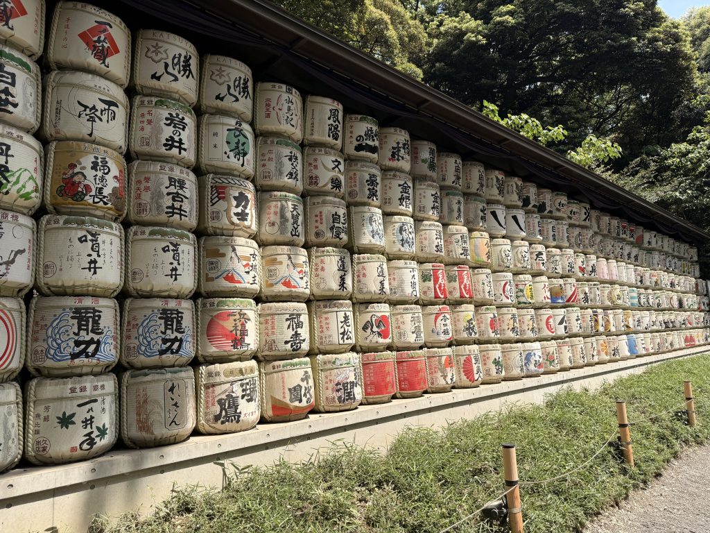 My First Trip to Japan: From Tokyo Lights to Mountain Escapes