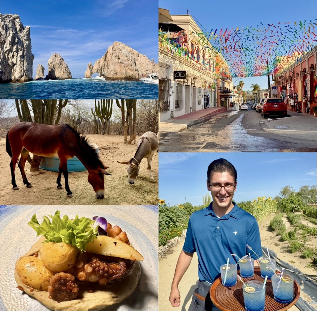 Los Cabos