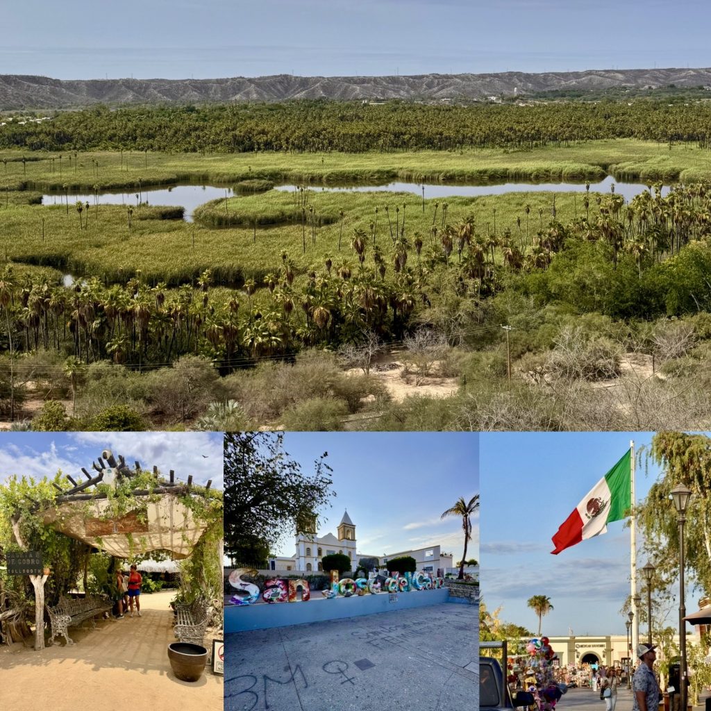 Los Cabos More Adventures