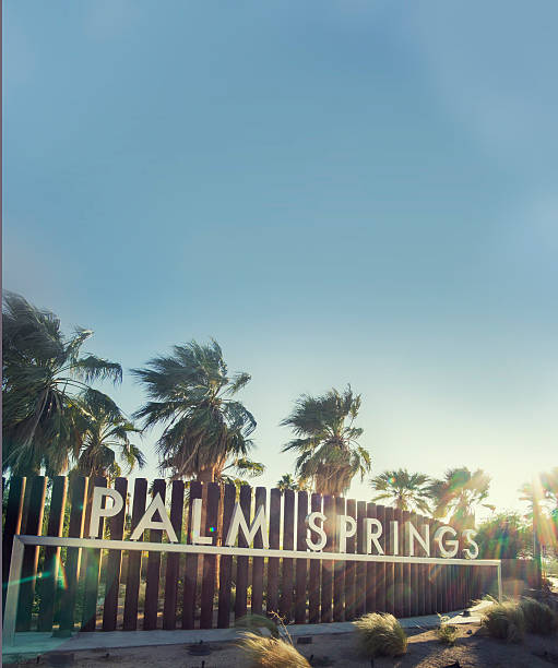 Desert Glamour to Coastal Luxury: My Palm Springs & Los Cabos Adventure