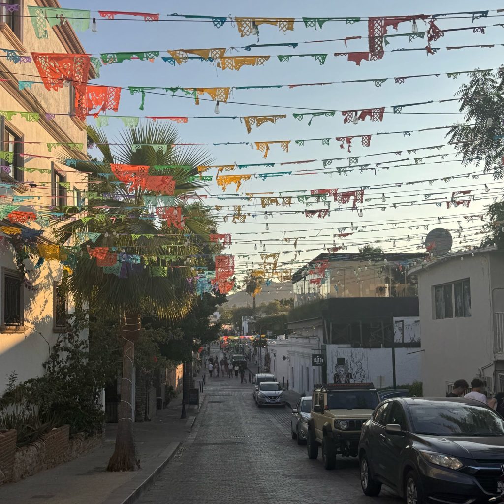 San Jose Del Cabo Streets