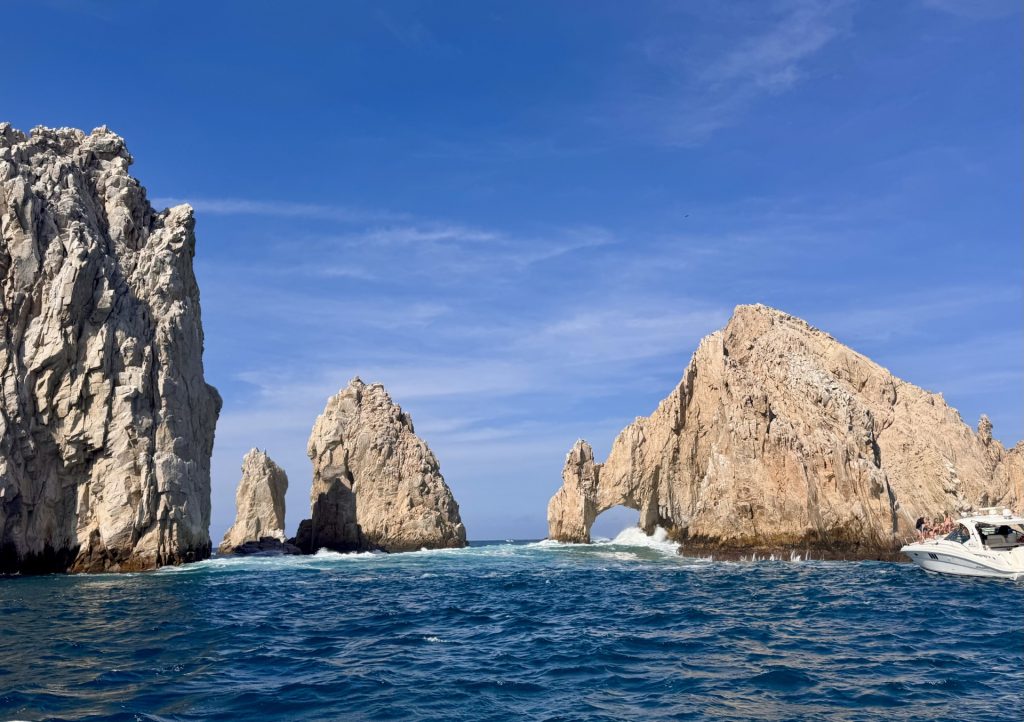 The Arc
