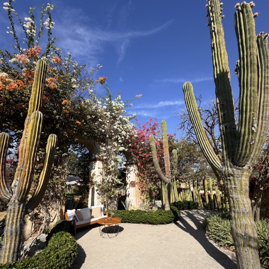 Gardens Of El Huerto