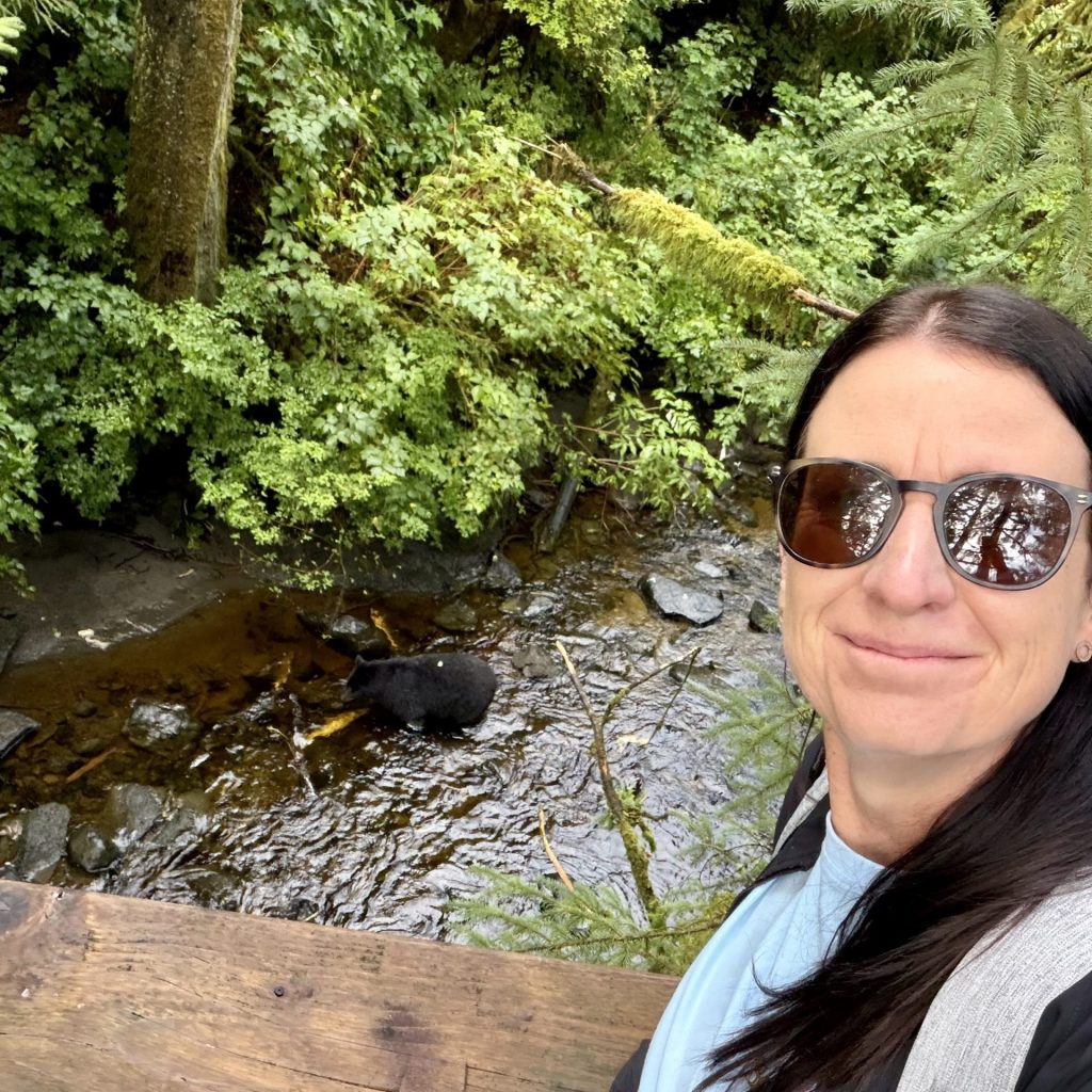 Black Bears of Ketchikan