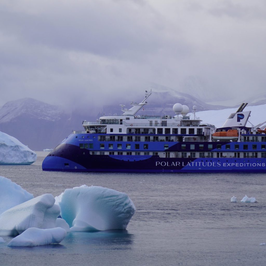 Ocean Albatros