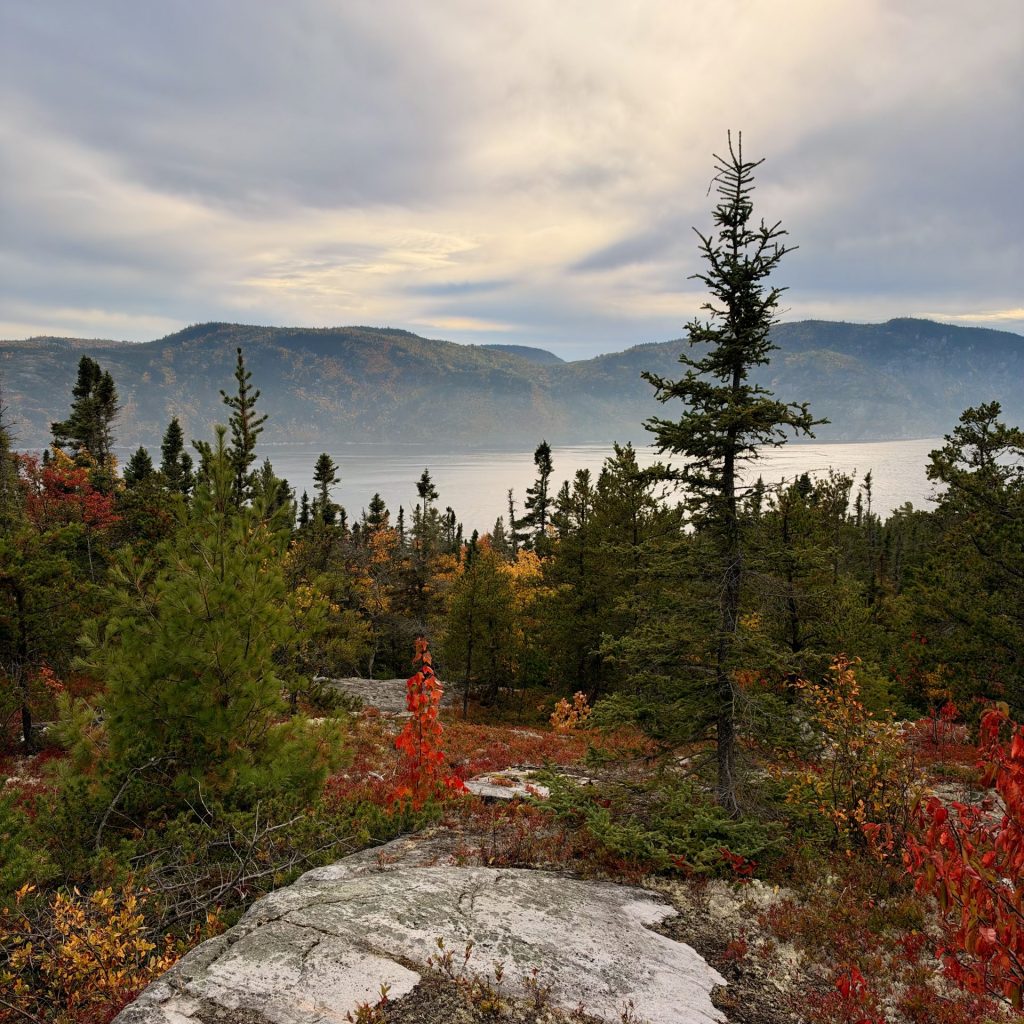 1st Paragraph Where Fairytale Landscapes