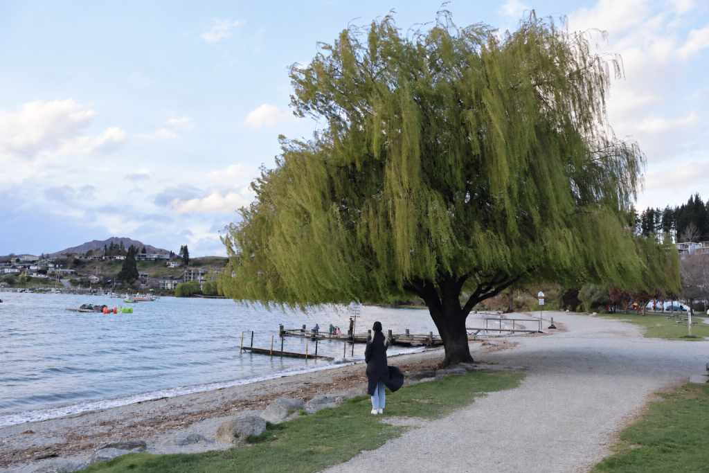 Wanaka Lake